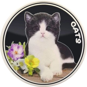 Cats 2022 Fiji moneta 1 uncja srebra kolorowana MG