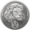 pol_pl_RPA-5-Rand-2022-Lew-Wielka-Piatka-II-3647_2.jpg