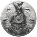 pol_pl_RPA-5-Rand-2022-Lew-Wielka-Piatka-II-3647_1.jpg