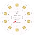 10-x-1g-gold-bars-goldseed-argor-heraeus_certipak
