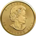 1-oz-maple-leaf-40th-anniversary-gold-coin-2019_2-e4d0c0fcda9ef263cc0f01b2cf4ef644.webp