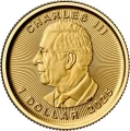1/20 oz kanadyjski liść klonu 2025
