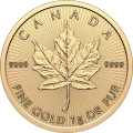 25x1 g złoty liść klonu