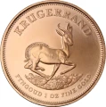 najstarsza bulionowa złota moneta Krugerrand 1 uncja losowe roczniki