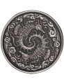 Moneta Seahorse Samoa 2024 Proof Like 1 oz srebra – wysokiej jakości powierzchnia