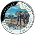 Słoń Somalijski 2006 – kolorowana moneta 1 oz srebra, seria African Wildlife
