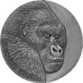 Expressions of Wildlife Mountain Gorilla 2 oz srebra 2021 – awers monety z gorylem
