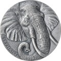Expressions of Wildlife Elephant 2 oz srebra 2023 – awers monety ze słoniem