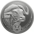 Big-Five-II-Bison-1-uncja-Srebra